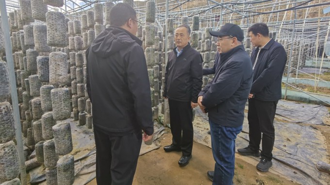 甘肅工程咨詢集團赴卓尼縣開展鄉(xiāng)村振興幫扶調研暨結對關愛工作